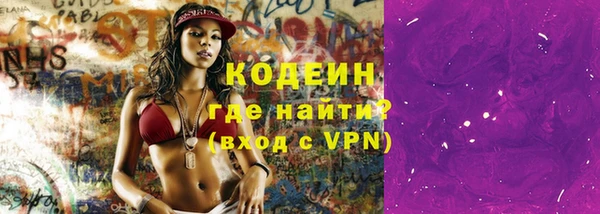 скорость Вяземский