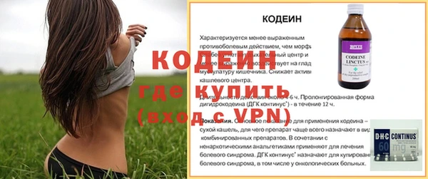 скорость Вяземский